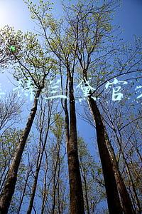 雅诗兰黛官方电话(到底是谁泄露购买者信息？小心防骗！)