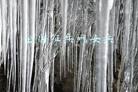 全国征兵网女兵