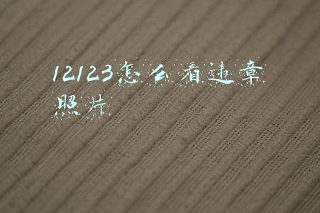 12123能看违章照片吗(怎样看自己违章图片)
