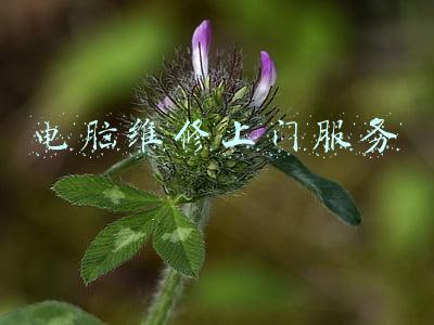 电脑维修上门服务