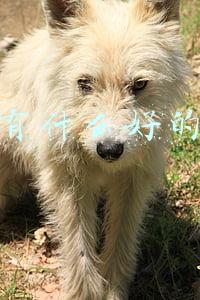 投资好的项目有哪些(最受36氪喜爱的项目Top 10｜7月上)