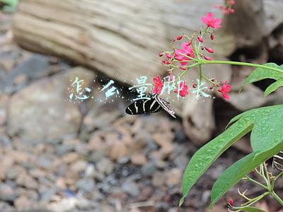 怎么量脚长