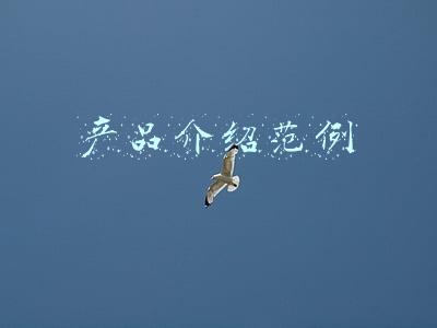 产品介绍范例