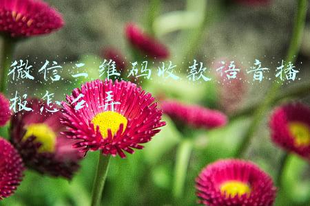 微信二维码收款语音播报怎么弄