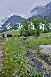 淘宝怎么查看自己的评价内容(“亲，给个五星好评！返5元红包！”12月28日开始，这些行为不允许了)