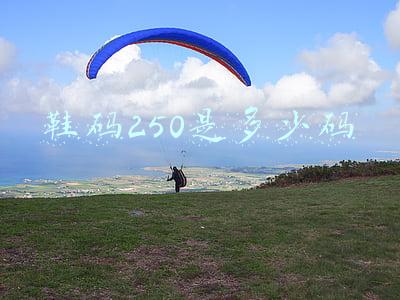 鞋码250是多少码的鞋子(国产运动鞋被炒到上万元“黄牛”为何会盯上国产鞋？)