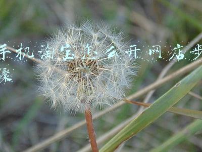 手机淘宝怎么开网店步骤