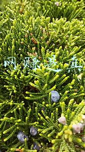 打码网赚是真的吗