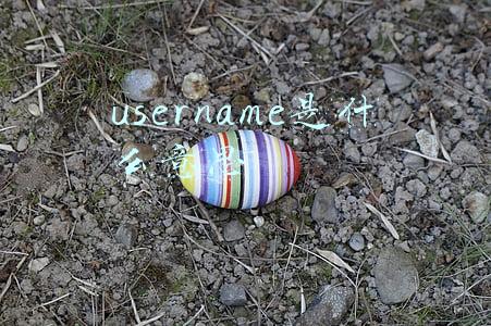 username是什么意思
