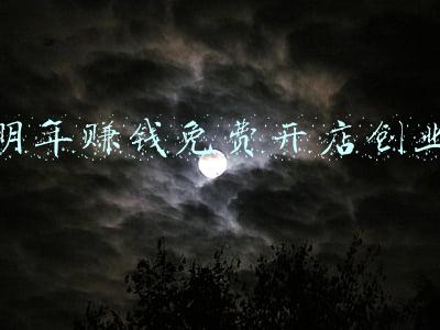 明年赚钱免费开店创业