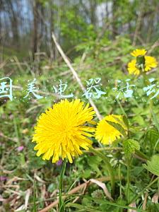 国美电器活动