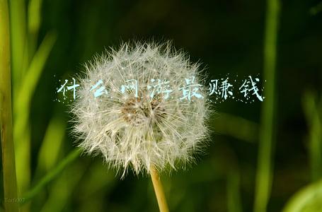 什么网游最赚钱