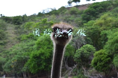 团购怎么做