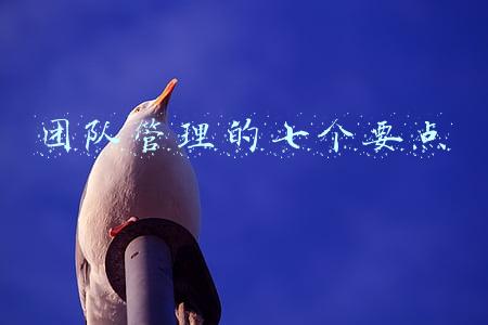 团队管理的七个要点是什么(团队管理要诀：如何快速培养出众多精英人才？)