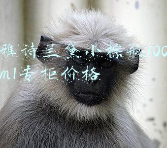 雅诗兰黛小棕瓶100ml专柜价格