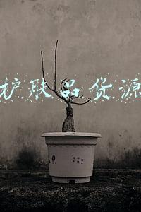 护肤品货源