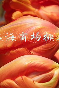 上海商场排名