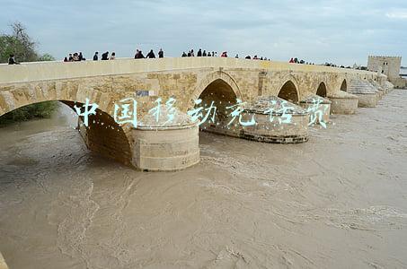中国移动充话费优惠活动(你知道中国移动的几项优惠业务、省钱攻略吗？)