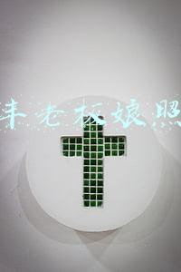 顺丰老板娘照片