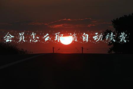 会员怎么取消自动续费