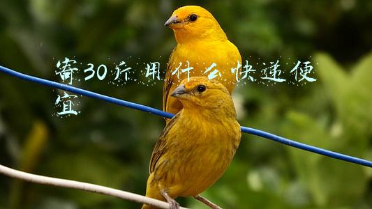 寄30斤用什么快递便宜