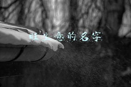 旺生意的名字