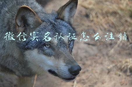 微信实名认证怎么注销