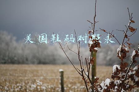 美国鞋码对照表