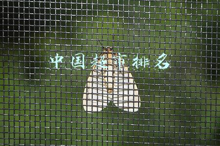 中国超市排名