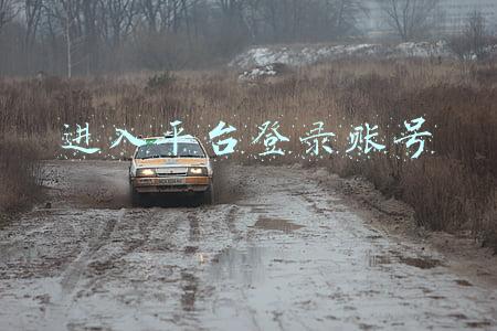 进入平台登录账号
