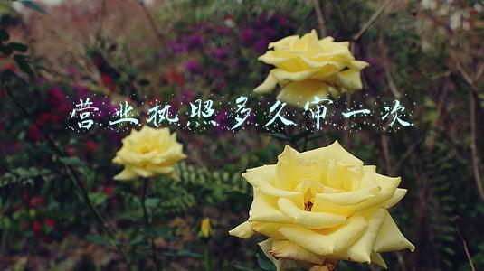 营业执照多久审一次