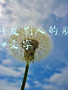 怎么转发别人的朋友圈图片和文字