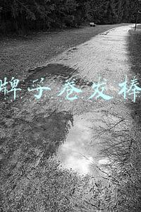 什么牌子卷发棒好用