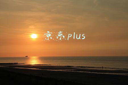 京东plus
