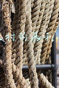 藏在农村的暴利小生意