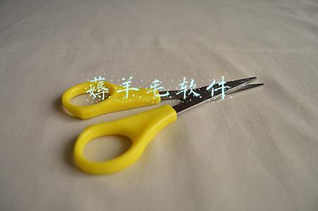 薅羊毛软件