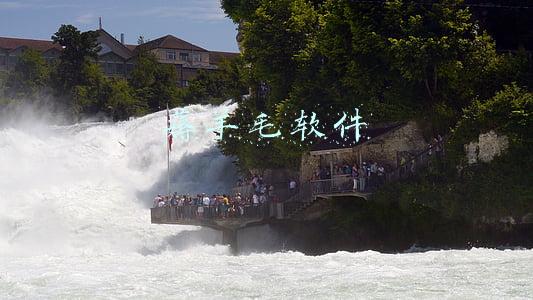 薅羊毛软件