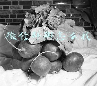 微信群聊怎么找