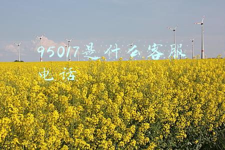 95017是什么客服电话