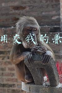 不用交钱的兼职