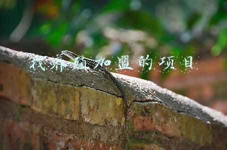 加盟养殖技术(鸽子养殖加盟合作模式有哪些？)