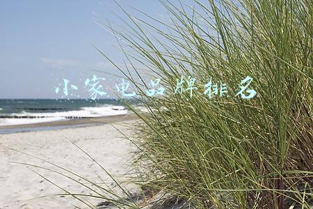 小家电品牌排名