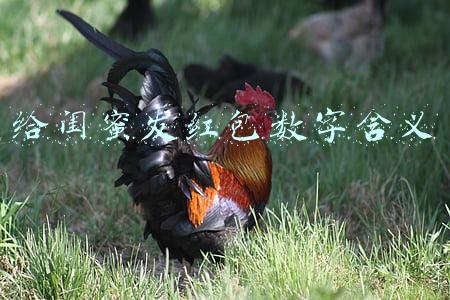 给闺蜜发红包数字含义11(30分钟190元，“一日男友”火了，还有人想包月！这种服务违法吗？)