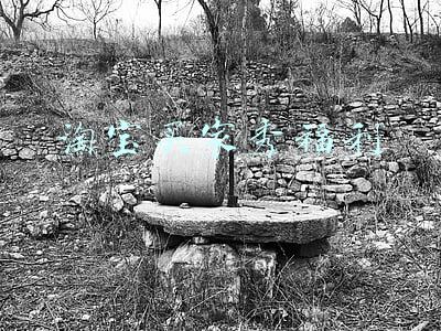 淘宝买家秀福利