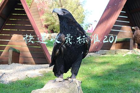 快递收费标准2022省内(2022年快递新规内容有哪些)