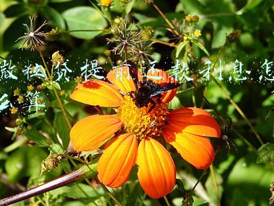 微粒贷提前还款利息怎么算