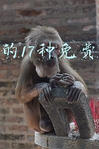 淘宝的17种免费推广方法