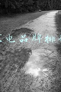 小家电品牌排行榜