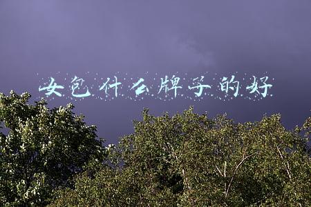 女包什么牌子的好看(15款经典不过时包包排行榜，其中这5只最保值)