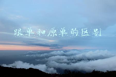 跟单和原单的区别